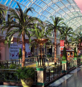 palm trees and interior plants and interior landscaping trafford centre manchester